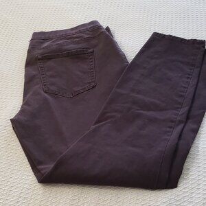 New Directions Pull-On Skinny Brown Jeans